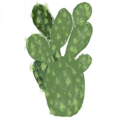 a small cactus plant